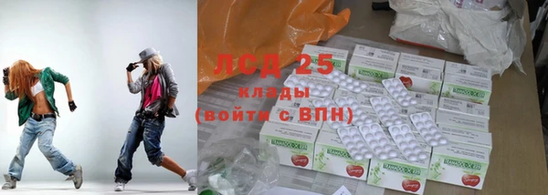 ПСИЛОЦИБИНОВЫЕ ГРИБЫ Абаза