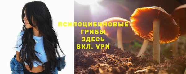 ПСИЛОЦИБИНОВЫЕ ГРИБЫ Абаза