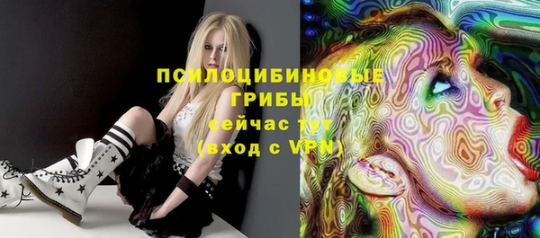 ПСИЛОЦИБИНОВЫЕ ГРИБЫ Абаза